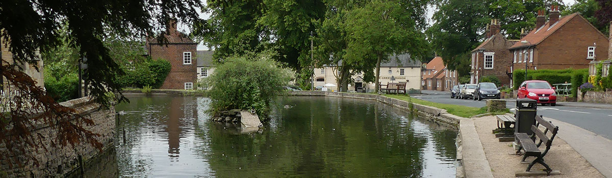 Mill Beck Pond